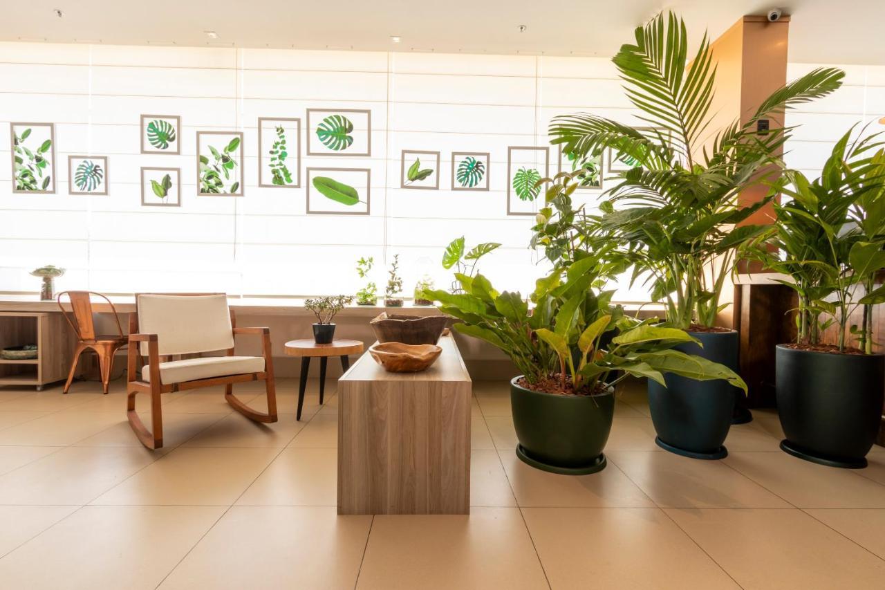 Hotel Ibis Styles Curitiba Aeroporto São José dos Pinhais Exteriér fotografie
