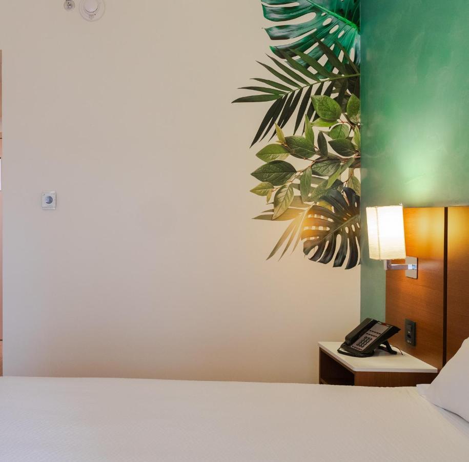 Hotel Ibis Styles Curitiba Aeroporto São José dos Pinhais Exteriér fotografie